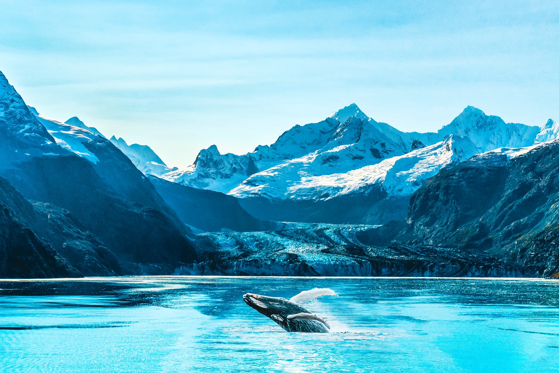 Image of Alaska Airlines