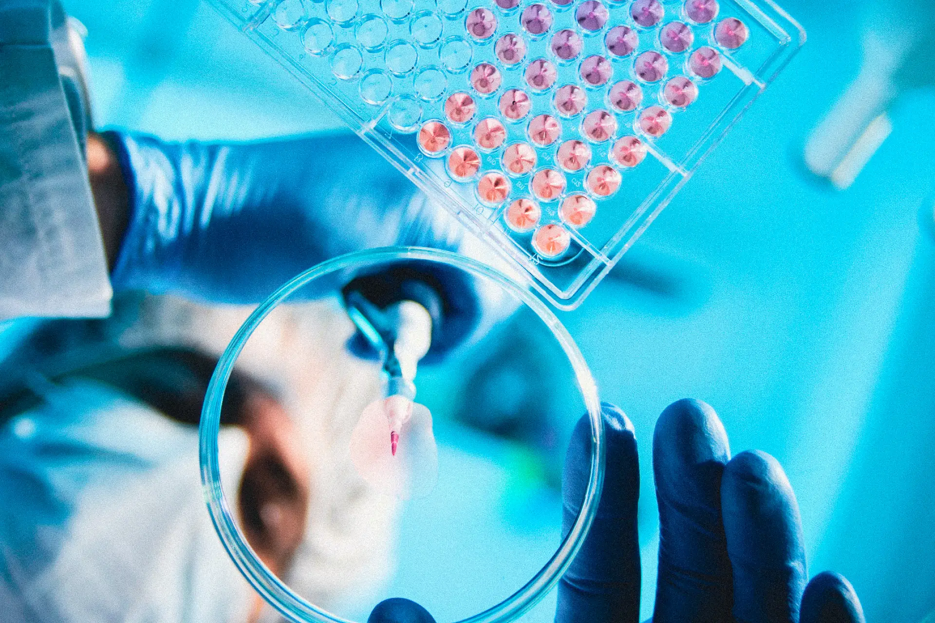 Image of Merck