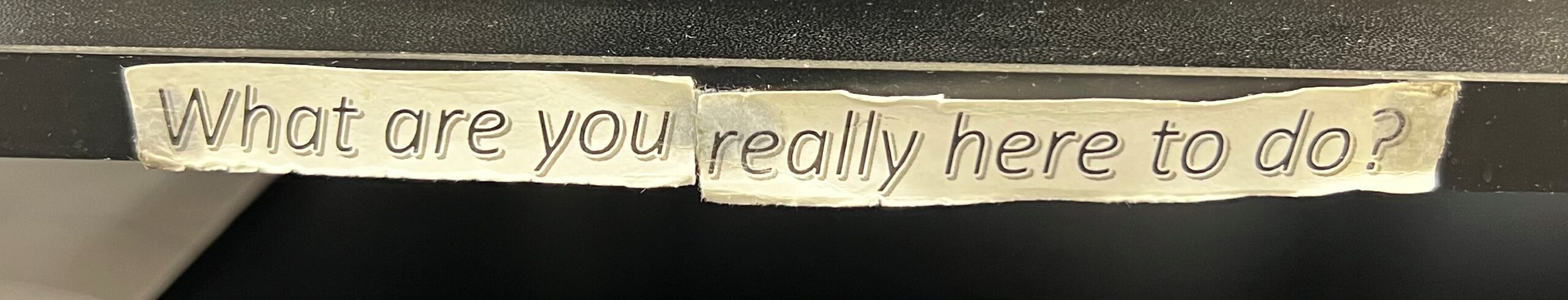 What are you really here to do.jpg